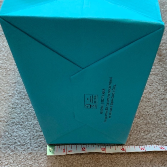 Authentic Tiffany & Co. Gift Bag 10" x 8" x 4" - Picture 7 of 7